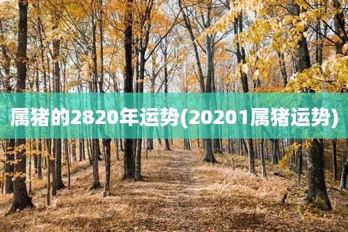 属猪的2820年运势(20201属猪运势)