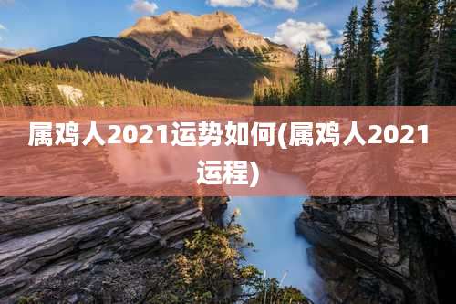 属鸡人2021运势如何(属鸡人2021运程)