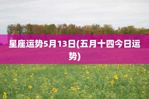 星座运势5月13日(五月十四今日运势)