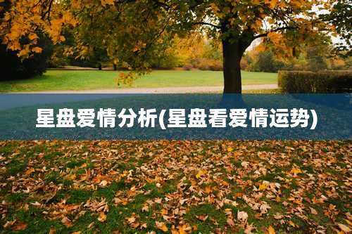 星盘爱情分析(星盘看爱情运势)
