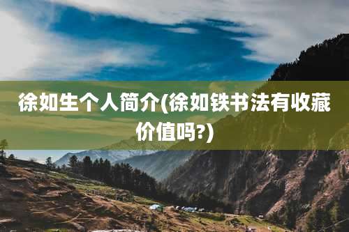 徐如生个人简介(徐如铁书法有收藏价值吗?)