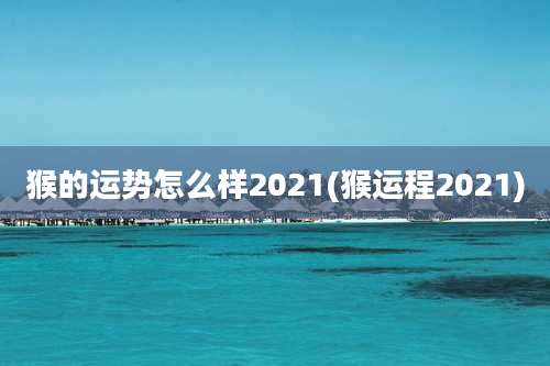 猴的运势怎么样2021(猴运程2021)