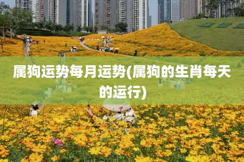 属狗运势每月运势(属狗的生肖每天的运行)