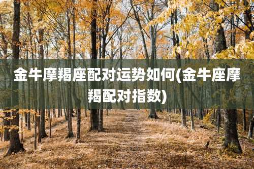 金牛摩羯座配对运势如何(金牛座摩羯配对指数)