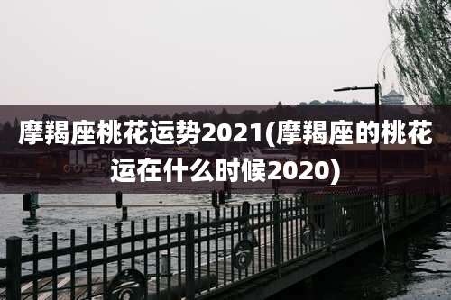 摩羯座桃花运势2021(摩羯座的桃花运在什么时候2020)