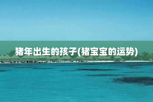 猪年出生的孩子(猪宝宝的运势)