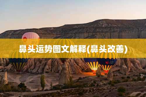 鼻头运势图文解释(鼻头改善)