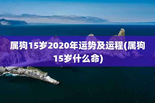 属狗15岁2020年运势及运程(属狗15岁什么命)