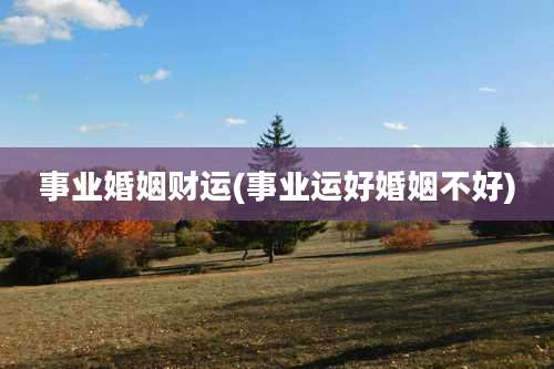 事业婚姻财运(事业运好婚姻不好)