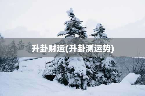 升卦财运(升卦测运势)