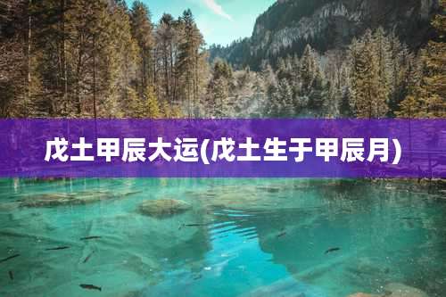 戊土甲辰大运(戊土生于甲辰月)