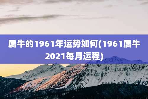 属牛的1961年运势如何(1961属牛2021每月运程)