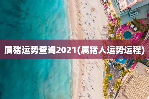 属猪运势查询2021(属猪人运势运程)