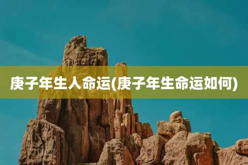 庚子年生人命运(庚子年生命运如何)