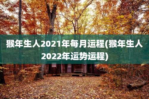 猴年生人2021年每月运程(猴年生人2022年运势运程)