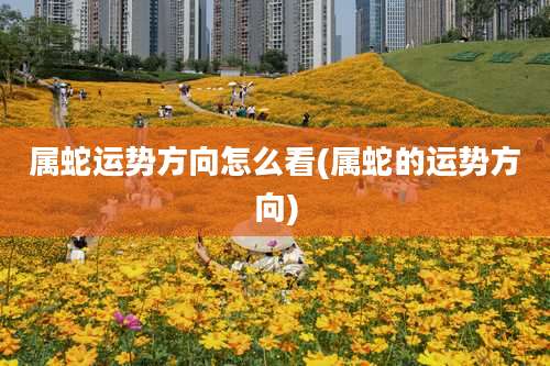 属蛇运势方向怎么看(属蛇的运势方向)