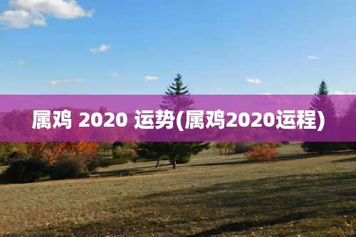 属鸡 2020 运势(属鸡2020运程)