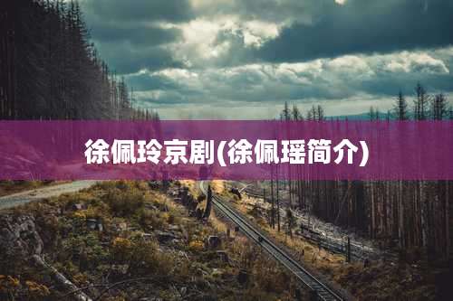 徐佩玲京剧(徐佩瑶简介)