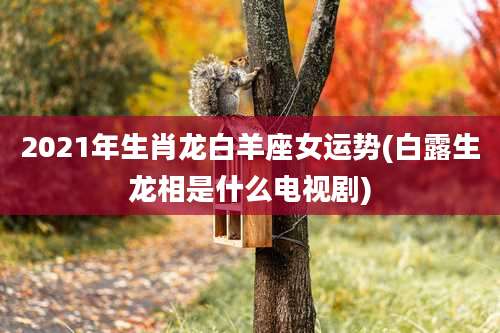 2021年生肖龙白羊座女运势(白露生龙相是什么电视剧)