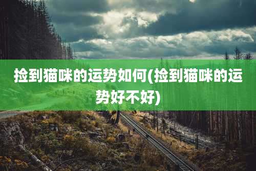 捡到猫咪的运势如何(捡到猫咪的运势好不好)