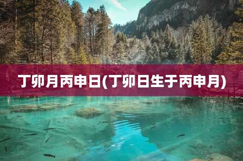 丁卯月丙申日(丁卯日生于丙申月)