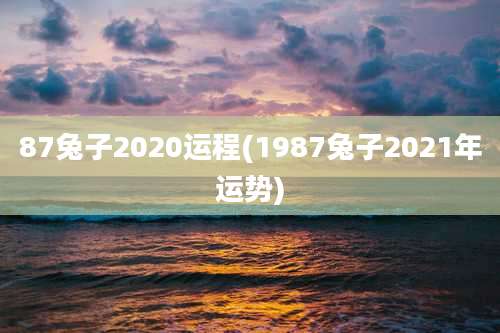 87兔子2020运程(1987兔子2021年运势)