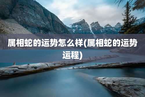 属相蛇的运势怎么样(属相蛇的运势运程)