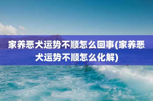 家养恶犬运势不顺怎么回事(家养恶犬运势不顺怎么化解)