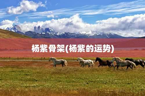 杨紫骨架(杨紫的运势)