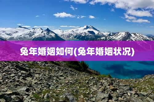 兔年婚姻如何(兔年婚姻状况)