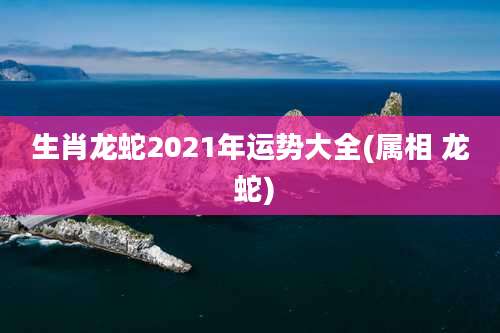 生肖龙蛇2021年运势大全(属相 龙 蛇)