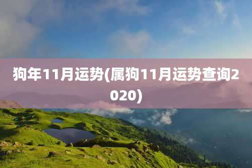 狗年11月运势(属狗11月运势查询2020)