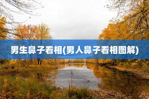 男生鼻子看相(男人鼻子看相图解)