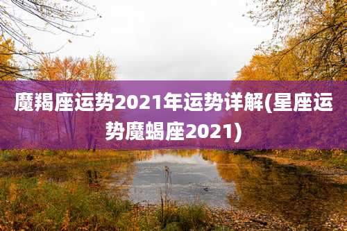 魔羯座运势2021年运势详解(星座运势魔蝎座2021)