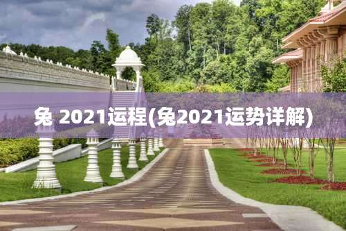 兔 2021运程(兔2021运势详解)