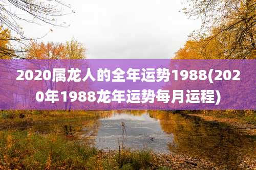 2020属龙人的全年运势1988(2020年1988龙年运势每月运程)