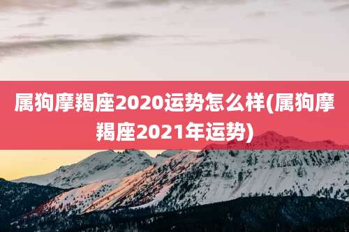 属狗摩羯座2020运势怎么样(属狗摩羯座2021年运势)