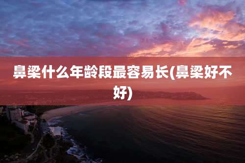 鼻梁什么年龄段最容易长(鼻梁好不好)