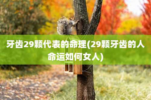 牙齿29颗代表的命理(29颗牙齿的人命运如何女人)