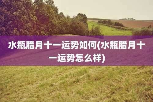 水瓶腊月十一运势如何(水瓶腊月十一运势怎么样)