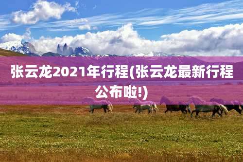 张云龙2021年行程(张云龙最新行程公布啦!)