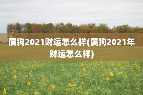 属狗2021财运怎么样(属狗2021年财运怎么样)