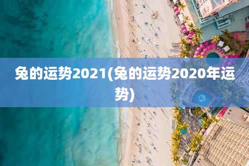 兔的运势2021(兔的运势2020年运势)