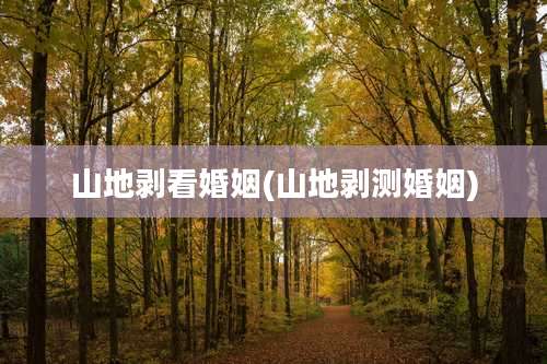 山地剥看婚姻(山地剥测婚姻)