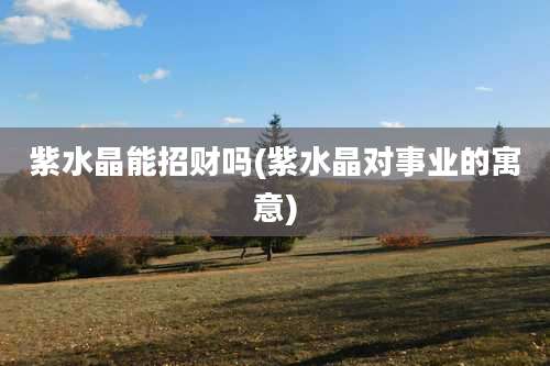 紫水晶能招财吗(紫水晶对事业的寓意)