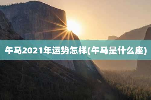 午马2021年运势怎样(午马是什么座)