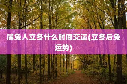 属兔人立冬什么时间交运(立冬后兔运势)