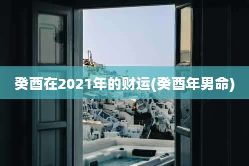 癸酉在2021年的财运(癸酉年男命)