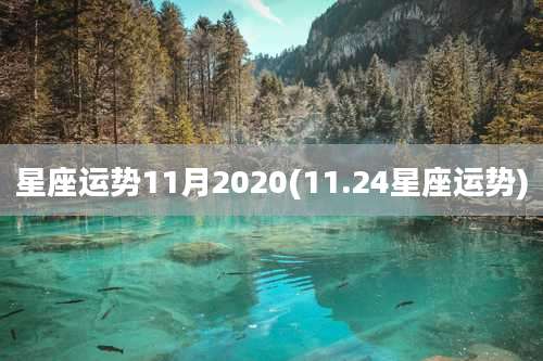 星座运势11月2020(11.24星座运势)