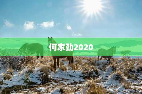 何家劲2020